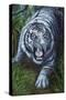 White Tiger-Jenny Newland-Stretched Canvas