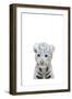 White Tiger-Leah Straatsma-Framed Art Print