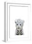 White Tiger-Leah Straatsma-Framed Art Print