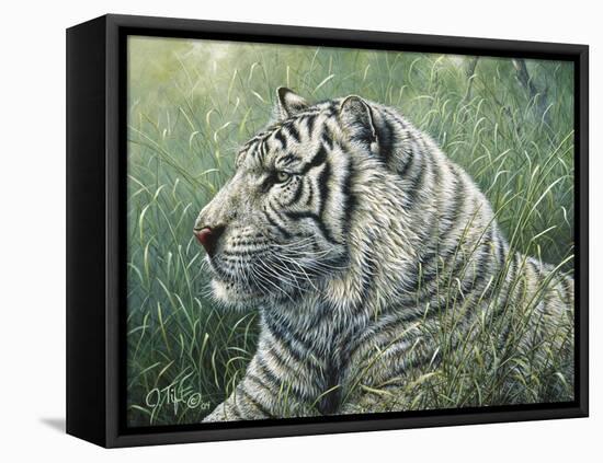 White Tiger-Jeff Tift-Framed Stretched Canvas
