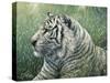 White Tiger-Jeff Tift-Stretched Canvas