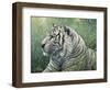 White Tiger-Jeff Tift-Framed Premium Giclee Print