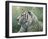 White Tiger-Jeff Tift-Framed Giclee Print