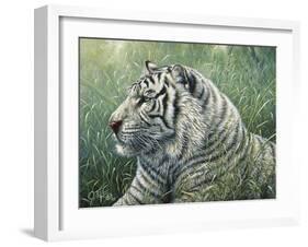 White Tiger-Jeff Tift-Framed Giclee Print