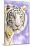 White Tiger-Barbara Keith-Mounted Giclee Print