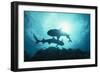 White-Tip Reef Sharks-null-Framed Photographic Print