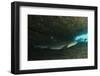 White-Tipped Reef Shark (Triaenodon Obesus), Ecuador-Pete Oxford-Framed Photographic Print