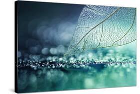 White Transparent Skeleton Leaf with Beautiful Texture on a Turquoise Abstract Background on Glass-Laura Pashkevich-Stretched Canvas