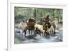 White Trapper Crossing a Mountain Stream-null-Framed Giclee Print