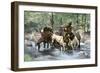 White Trapper Crossing a Mountain Stream-null-Framed Giclee Print