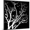 White Tree-Irena Orlov-Mounted Art Print