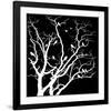 White Tree-Irena Orlov-Framed Art Print