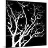 White Tree-Irena Orlov-Mounted Art Print