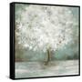 White Tree-Allison Pearce-Framed Stretched Canvas