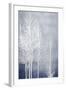 White Trees on Blue Panel I-Kate Bennett-Framed Art Print