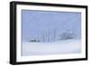 White Trees-MAKIKO-Framed Giclee Print