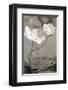 White Tulip Celebration I-Richard Sutton-Framed Art Print