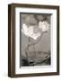 White Tulip Celebration I-Richard Sutton-Framed Art Print
