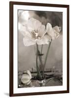 White Tulip Celebration II-Richard Sutton-Framed Premium Giclee Print