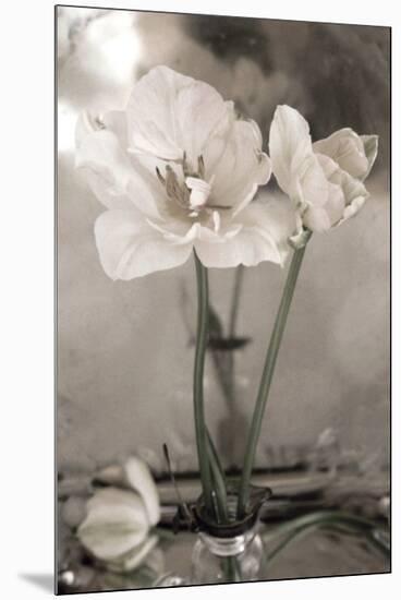 White Tulip Celebration II-Richard Sutton-Mounted Premium Giclee Print