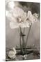 White Tulip Celebration II-Richard Sutton-Mounted Premium Giclee Print