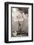 White Tulip Celebration II-Richard Sutton-Framed Art Print