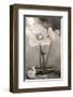 White Tulip Celebration II-Richard Sutton-Framed Art Print