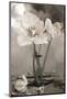 White Tulip Celebration II-Richard Sutton-Mounted Art Print