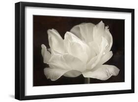 White Tulip III-Cora Niele-Framed Photographic Print