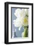 White Tulips Bouquet-Christine Zalewski-Framed Premium Giclee Print