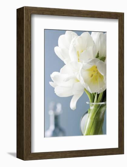 White Tulips Bouquet-Christine Zalewski-Framed Premium Giclee Print