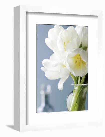 White Tulips Bouquet-Christine Zalewski-Framed Premium Giclee Print