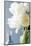 White Tulips Bouquet-Christine Zalewski-Mounted Premium Giclee Print