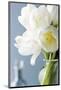 White Tulips Bouquet-Christine Zalewski-Mounted Premium Giclee Print