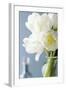 White Tulips Bouquet-Christine Zalewski-Framed Premium Giclee Print