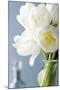 White Tulips Bouquet-Christine Zalewski-Mounted Premium Giclee Print