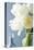 White Tulips Bouquet-Christine Zalewski-Stretched Canvas