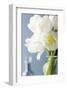 White Tulips Bouquet-Christine Zalewski-Framed Art Print