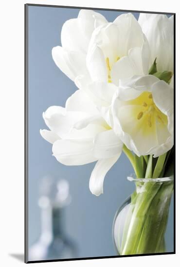 White Tulips Bouquet-Christine Zalewski-Mounted Art Print