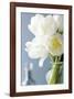 White Tulips Bouquet-Christine Zalewski-Framed Art Print