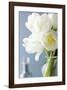 White Tulips Bouquet-Christine Zalewski-Framed Art Print