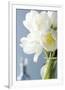 White Tulips Bouquet-Christine Zalewski-Framed Art Print