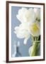 White Tulips Bouquet-Christine Zalewski-Framed Art Print