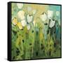 White Tulips I-Jennifer Harwood-Framed Stretched Canvas