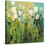 White Tulips I-Jennifer Harwood-Stretched Canvas