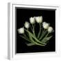 White Tulips-Magda Indigo-Framed Photographic Print