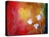 White Tulips-Cindy Thornton-Stretched Canvas