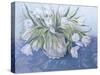 White Tulips-Cristiana Angelini-Stretched Canvas