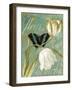 White Tulips-Color Bakery-Framed Giclee Print