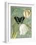 White Tulips-Color Bakery-Framed Giclee Print